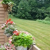 Summer flowers on the deck