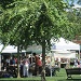 Summer Farmer's Market