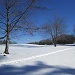 Cross-country skiing on the meadow