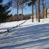 Winter on the lower meadow